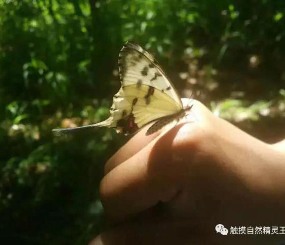 中国北京触摸自然暑外教大自然营